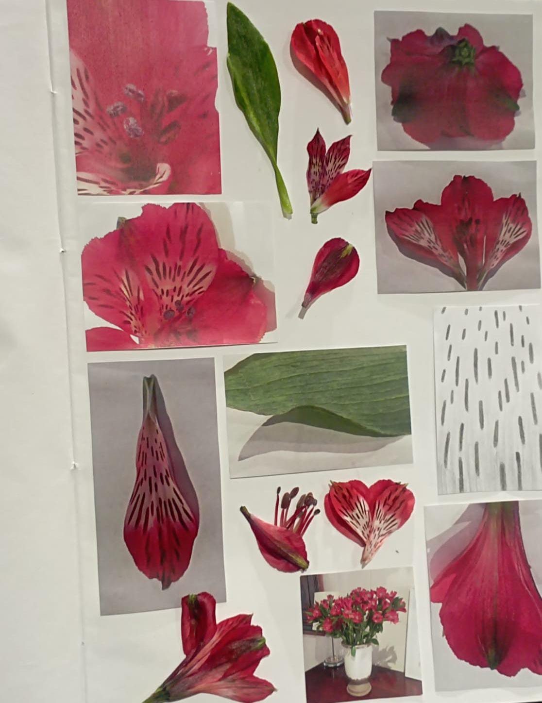 Flores Rojas